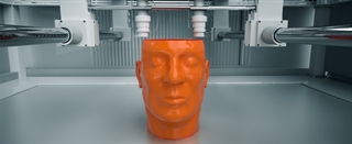 Head printed in 3D printer