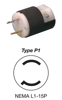 Type P1 Type P1