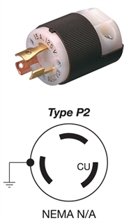 Type P2 Type P2