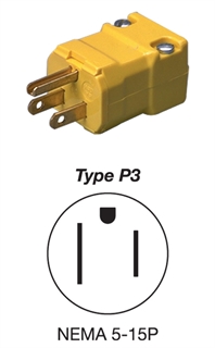 Type P3 Type P3