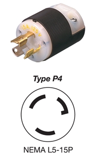 Type P4 Type P4